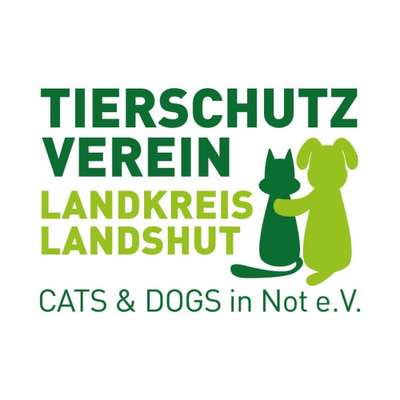 Tierheime-Tierschutzverein Landkreis Landshut -Cats&Dogs in Not e.V-Bild