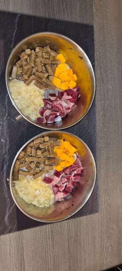 Zeigt her Eure Futternäpfe-Beitrag-Bild