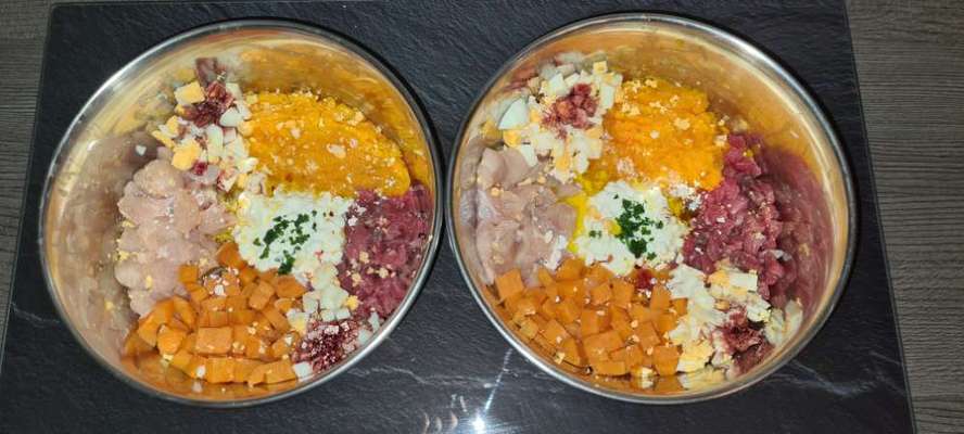 Zeigt her Eure Futternäpfe-Beitrag-Bild