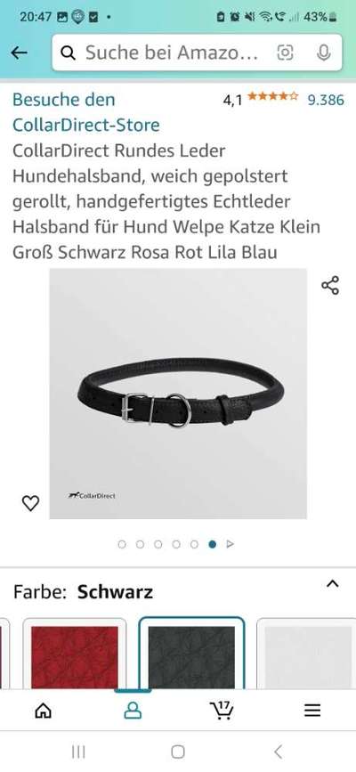 JRT Glatthaar Halsband Scheuerstellen-Beitrag-Bild