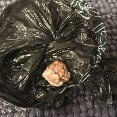 Giftköder-Evtl. Giftköder?-Bild