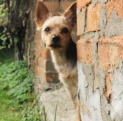 Fotochallange Nr. 57     PORTRÄT.   Beendet!!!!!!!!-Beitrag-Bild