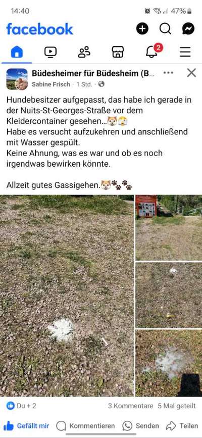 Giftköder-Weißes pulver-Bild