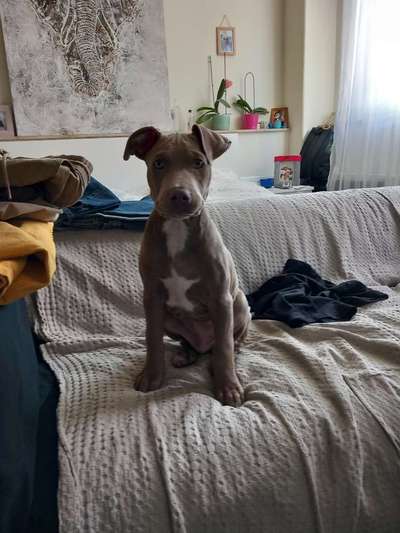 31. Collagen Challenge - Bänke/ Steine /Baumstümpfe-Beitrag-Bild