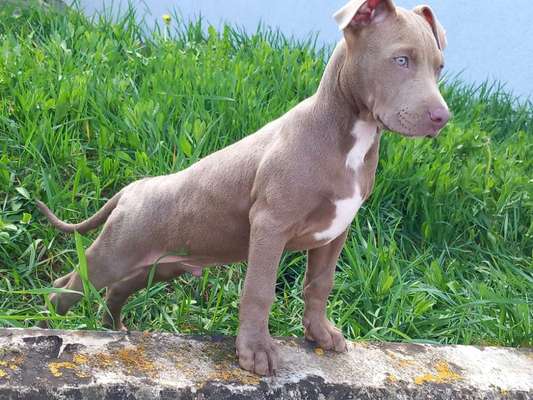 31. Collagen Challenge - Bänke/ Steine /Baumstümpfe-Beitrag-Bild