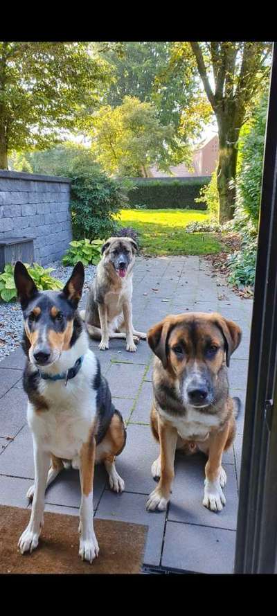 Fotochallenge 69-Beitrag-Bild