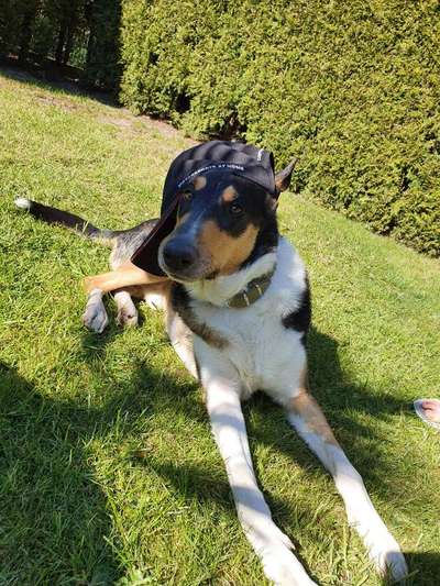 Fotochallange Nr. 57     PORTRÄT.   Beendet!!!!!!!!-Beitrag-Bild