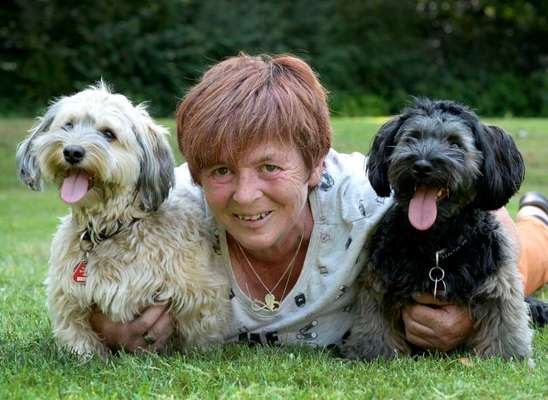 Hundetreffen-Treffen Brücke zum Tetraeder Bottrop-Bild