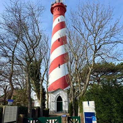 aktuelles Foto Gruppe Reisen mit Hund