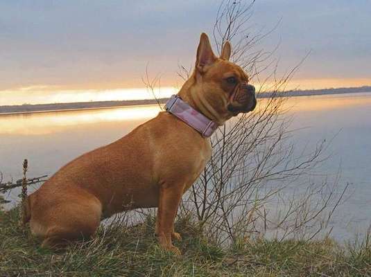 Lieblings Schnappschuss?-Beitrag-Bild