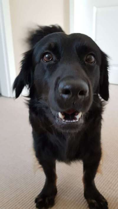 Lieblingsbild :D-Beitrag-Bild