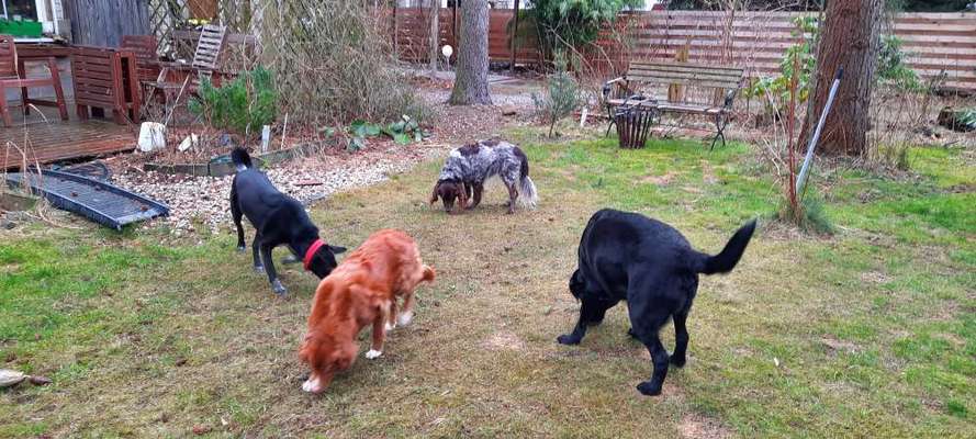 Fotochallenge 69-Beitrag-Bild