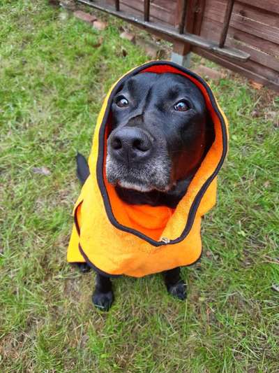 Pullis, Jacken, Hütte und alles sonstiges-Beitrag-Bild