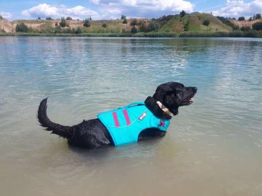 Pullis, Jacken, Hütte und alles sonstiges-Beitrag-Bild