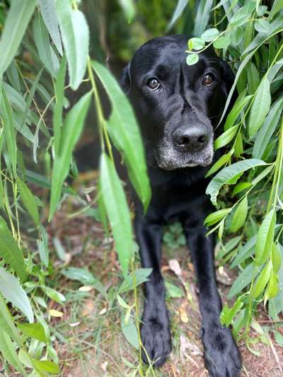 Außergewöhnliche Merkmale-Beitrag-Bild