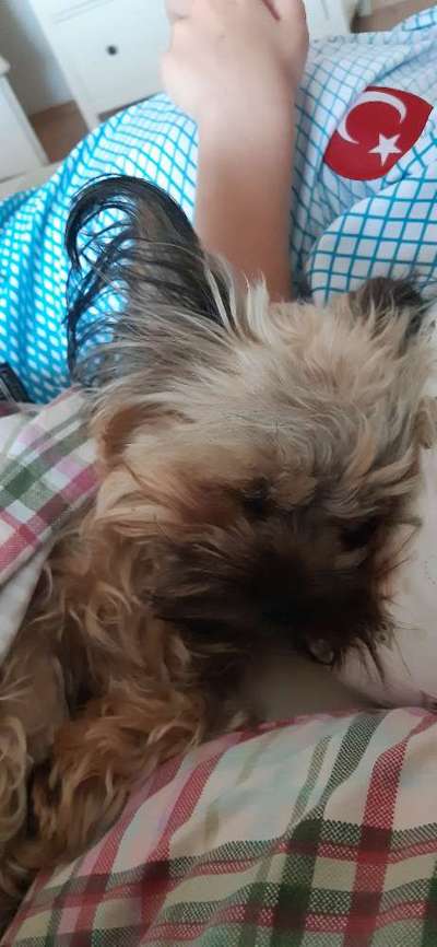 CHALLENGE NR. 34 - Liege-/Schlafpositionen-Beitrag-Bild