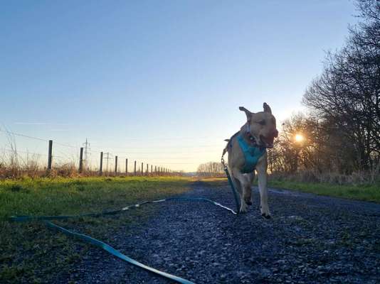 Fotochallenge Nr.122-Beitrag-Bild