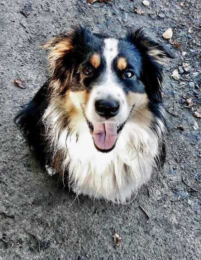 Lieblingsbild-Beitrag-Bild