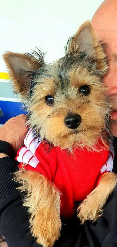 mailo, milow,meilo..-Beitrag-Bild