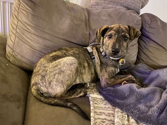 Was steckt in Lilly?-Beitrag-Bild