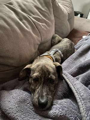 Was steckt in Lilly?-Beitrag-Bild