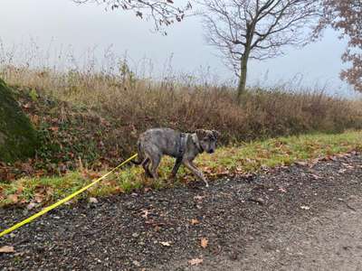 Was steckt in Lilly?-Beitrag-Bild