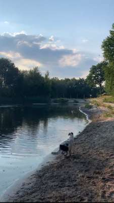 Hundeauslaufgebiet-Zum Rugenbarg-Bild