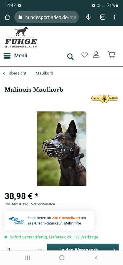 Alles rund um den Schäferhund, diskutieren erwünscht.-Beitrag-Bild