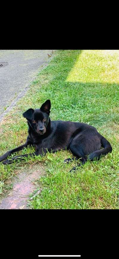 Lieblingsbild-Beitrag-Bild