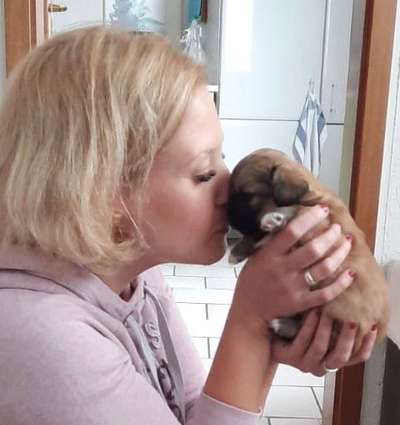 Welpen Bilder !-Beitrag-Bild