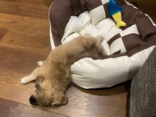 Die unbequemsten und lustigsten Schlafpositionen-Beitrag-Bild