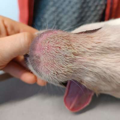 Negative Kong Erfahrung-Beitrag-Bild