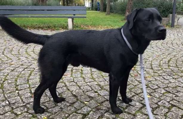 Pubertät! Suche Gleichgesinnte zum gegenseitigen AUSHEULEN ;)-Beitrag-Bild