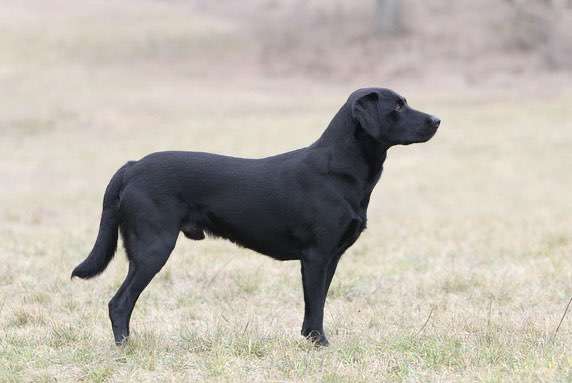 Pubertät! Suche Gleichgesinnte zum gegenseitigen AUSHEULEN ;)-Beitrag-Bild