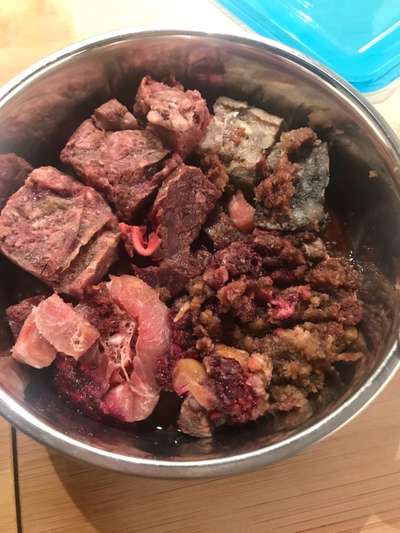 Zeigt eure Näpfe-Beitrag-Bild