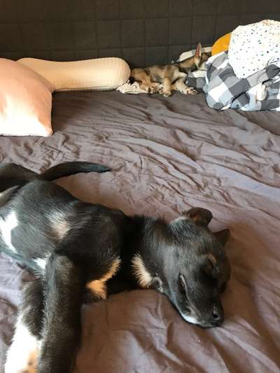 CHALLENGE NR. 34 - Liege-/Schlafpositionen-Beitrag-Bild