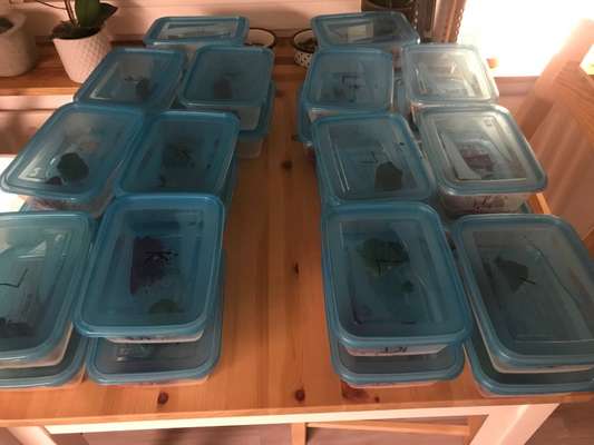 Aufbewahrung BARF-Beitrag-Bild