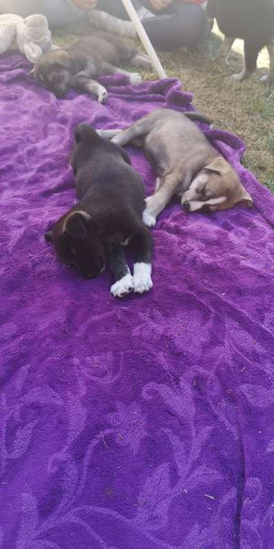 Unser Nachwuchs-Beitrag-Bild