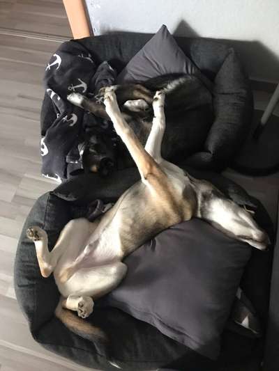 Die unbequemsten und lustigsten Schlafpositionen-Beitrag-Bild