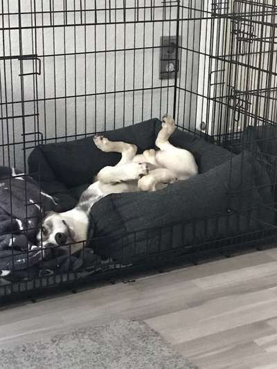 Die unbequemsten und lustigsten Schlafpositionen-Beitrag-Bild