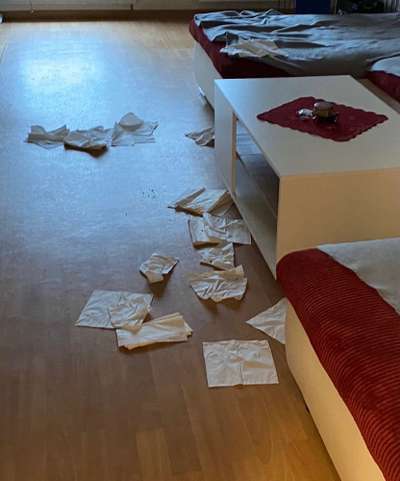 Zeig mir, dass du mit einem hund zusammenlebst....-Beitrag-Bild