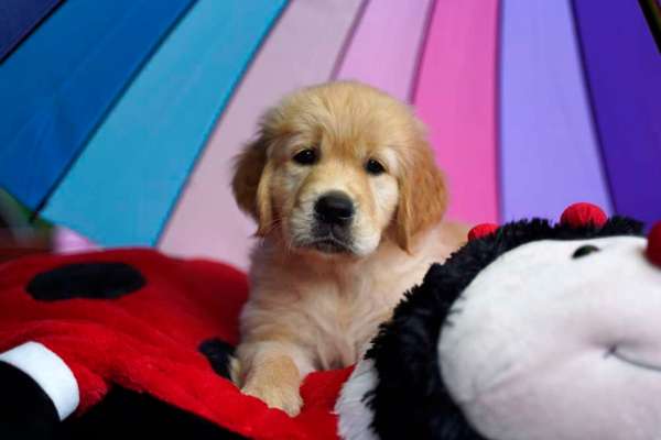 Fotochallange Nr. 57     PORTRÄT.   Beendet!!!!!!!!-Beitrag-Bild