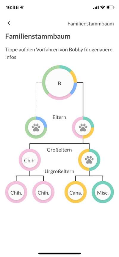 Gentests / skurrile Ergebnisse ;)-Beitrag-Bild