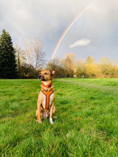 42.Fotochallenge - Eure schönen Momente beim Spaziergang-Beitrag-Bild