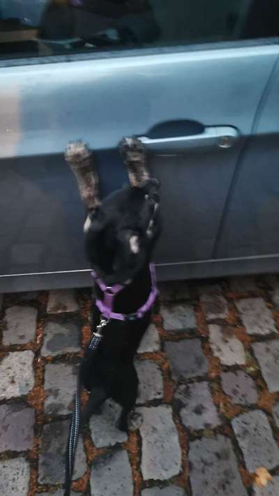 Auto fahren-Beitrag-Bild