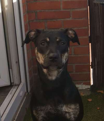 Fotochallange Nr. 57     PORTRÄT.   Beendet!!!!!!!!-Beitrag-Bild