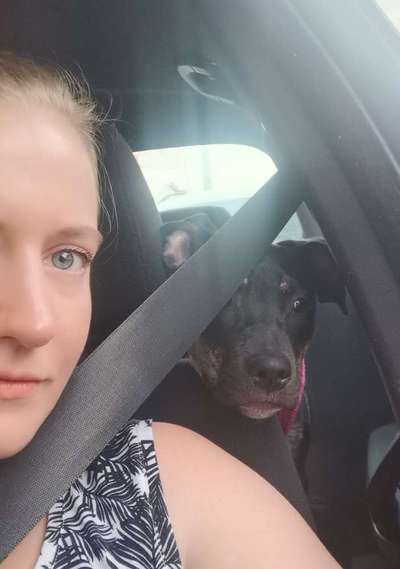 Die Dogorama Wochen Challenge-Beitrag-Bild