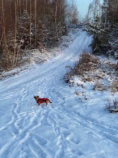 14. Farbenfoto-Challenge "Weiss"-Beitrag-Bild