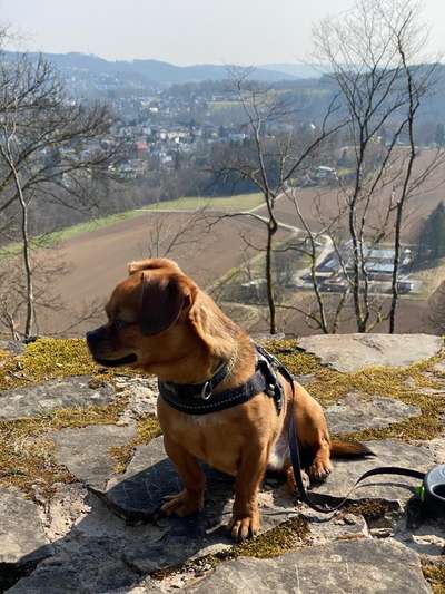 Theos  Fotochallenge Nummer 2-Beitrag-Bild