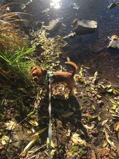 Foto Challenge Nr. 79-Beitrag-Bild